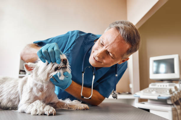 Best Mobile Emergency Dentist in , OK
